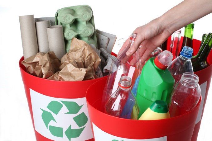 organise waste collection
