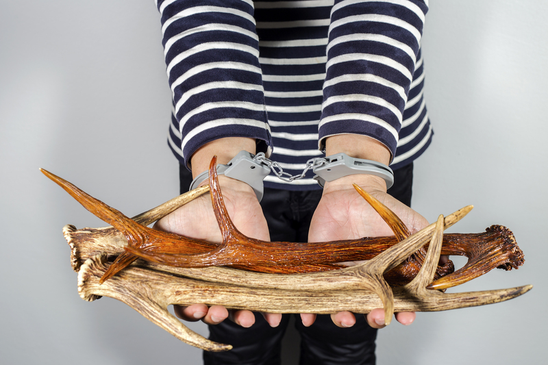 waste removal waste disposal