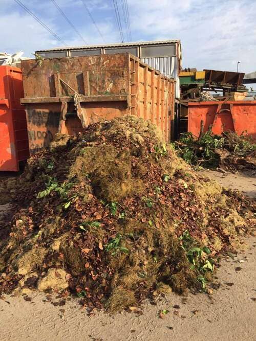 cellar clearance Sands End