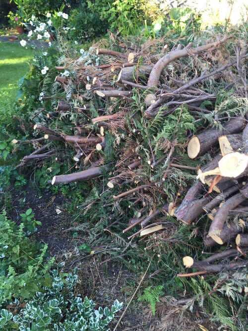 garden clearance Wimbledon